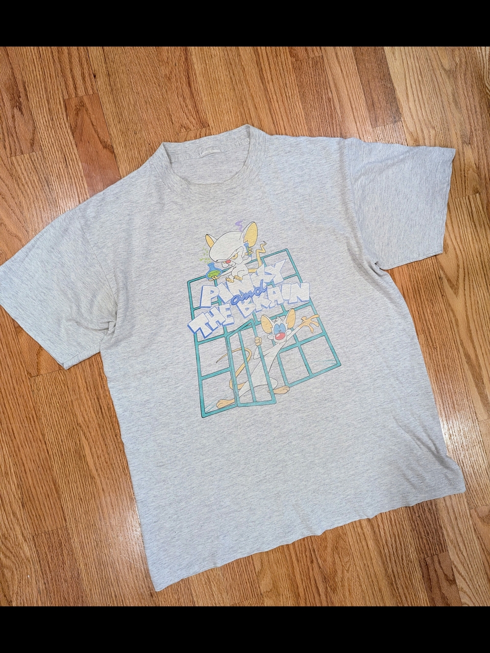 Vintage 90s Pinky and the Brain Cartoon T-shirt in Good Condition Retro and Rare